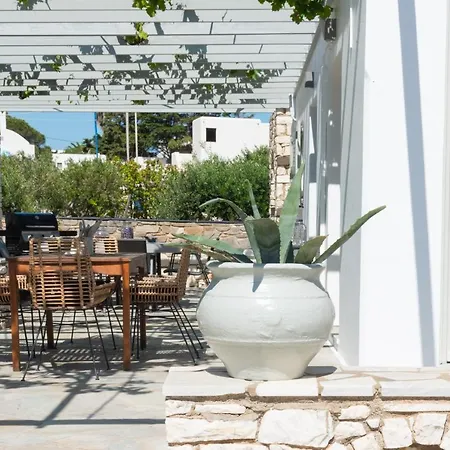 Navi A3 Brand New In